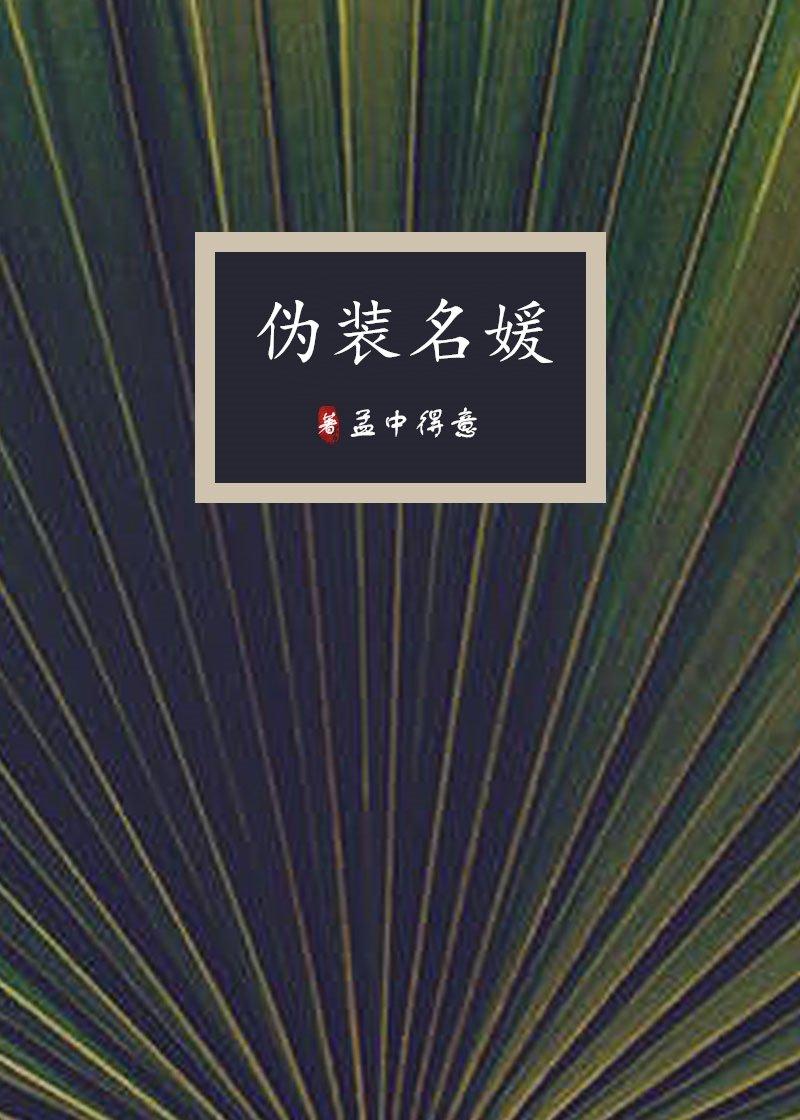 伪装名媛27章