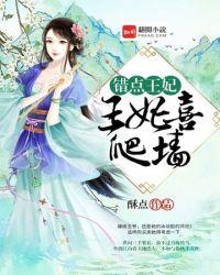 王妃要爬墙txt