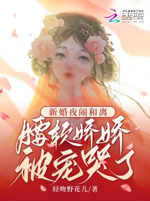 新婚之夜婚闹