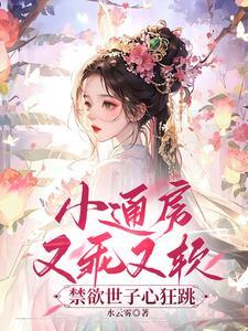 小通房讲的什么